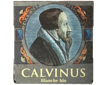 Calvinus Bier Blanche 6x33cl