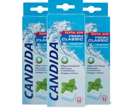 Candida Kaugummi Fresh Classic, 3er-Pack