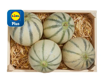 Cantaloupemelone