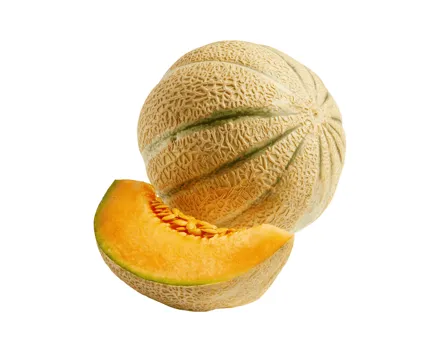 Cantaloupemelonen
