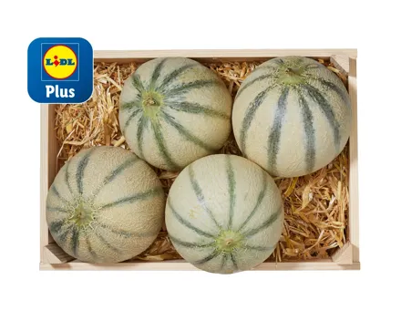 Cantaloupemelonen
