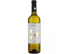 Castilla y Leon DO Verdejo Nebla Vincente Gandia