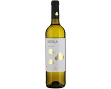 Castilla y Leon DO Verdejo Nebla Vincente Gandia