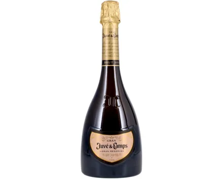Cava DO Gran Reserva Juvé & Camps (2017) – Schaumwein, Spanien (0.75l)