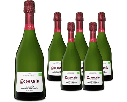 Cava DO Selección Raventós Codorníu, brut 6x 75cl – Schaumwein, Spanien (0.75l)