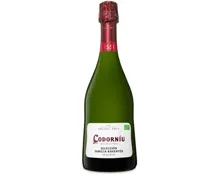 Cava DO Selección Raventós Codorníu, brut