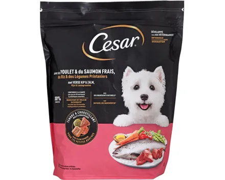 Cesar Adult Huhn & Lachs 1,4 kg