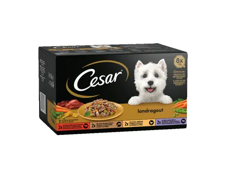 Cesar Hundefutter