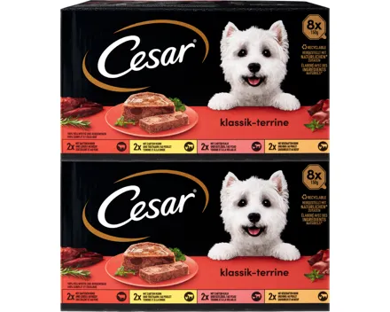 Cesar Hundefutter Klassik-Terrine