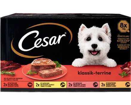 Cesar Hundefutter Klassik-Terrine