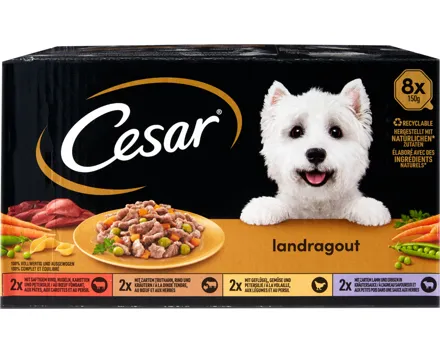 Cesar Hundefutter Landragout in Sauce