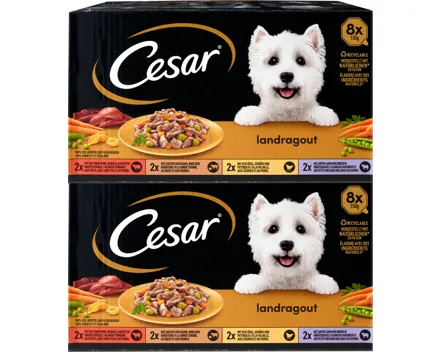 Cesar Hundefutter Landragout in Sauce