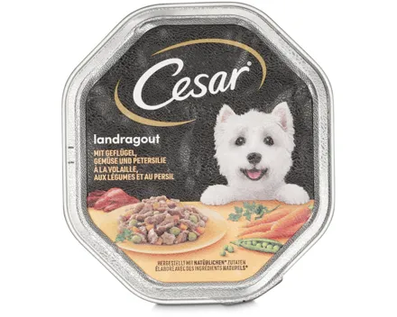 Cesar Landragout Geflügel Schale