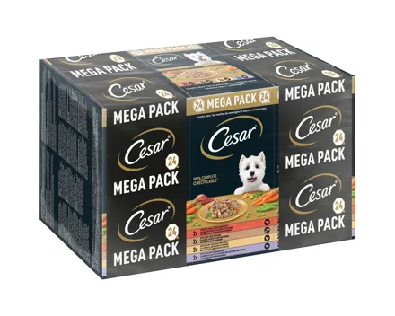 Cesar Landragout in Sauce 24 x 150 g