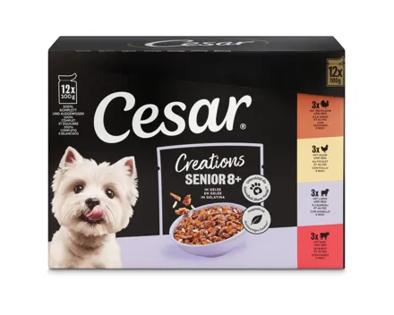 Cesar Pouch Multipack Senior 12x100g