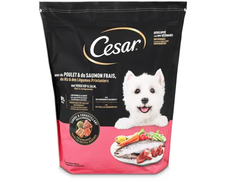 Cesar Trockenfutter Huhn & Lachs