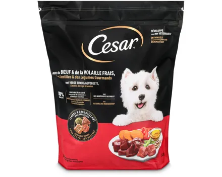 Cesar Trockenfutter Rind & Geflügel