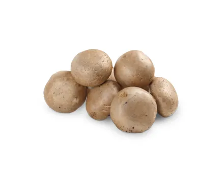 Champignons braun