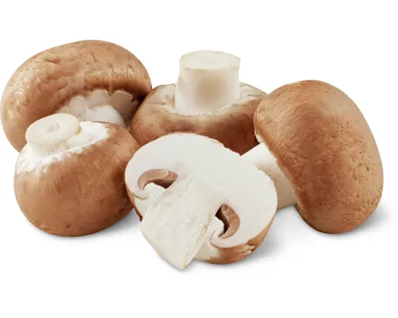Champignons braun