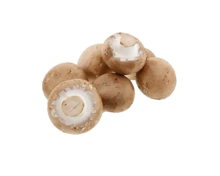 Champignons braun Grilletto