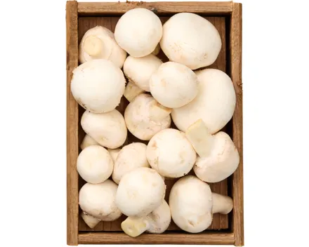 Champignons