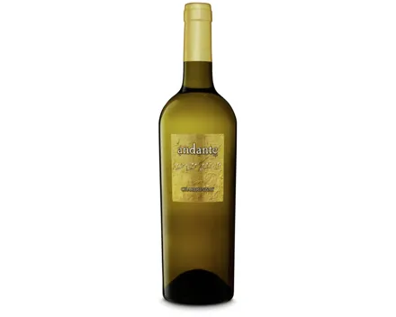 Chardonnay Salento IGP Andante (2023) – Weisswein, Italien (0.75l)