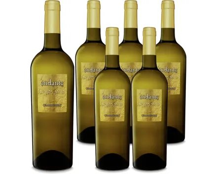 Chardonnay Salento IGP Andante 6x 75cl (2024) – Weisswein, Italien (0.75l)