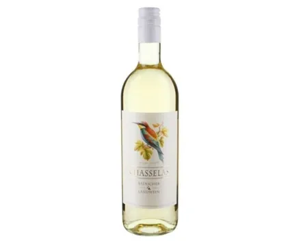Chasselas Vin de Pays Badischer Landwein (2024) – Weisswein, Deutschland (0.75l)