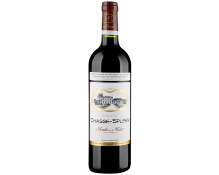 Château Chasse-Spleen Moulis en Médoc AOC (2020) – Rotwein, Frankreich (0.75l)