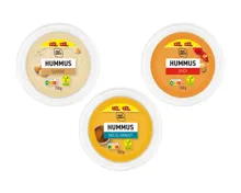 CHEF SELECT Hummus XXL