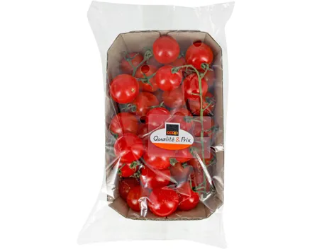 Cherry-Rispentomaten