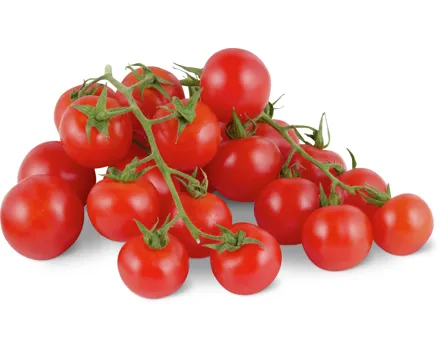 Cherrytomaten am Zweig