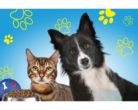 CHF 15.- Rabatt bei QUALIPET