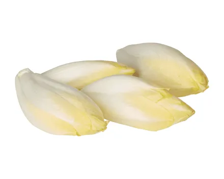 Chicorée