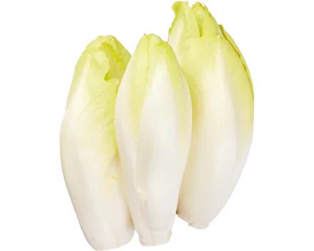 Chicorée