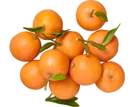 Clementinen