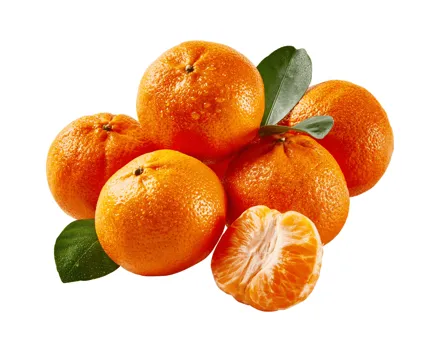 Clementinen