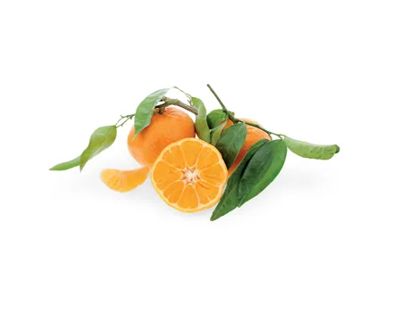 Clementinen mit Blatt