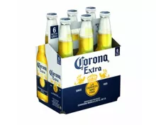 Corona Bier Extra 6x35,5cl