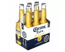 Corona Extra 6x33cl