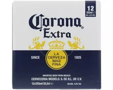 Corona Extra Bier 12x35.5cl