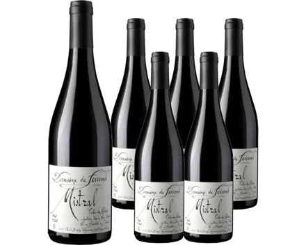 Côtes-du-Rhône AOC Mistral Domaine de Ferrand 6x 75cl (2024) – Rotwein, Frankreich (0.75l)