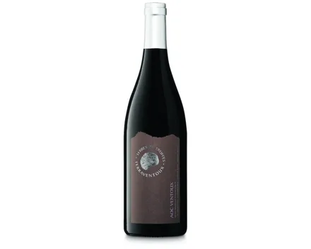 Côtes du Ventoux AOC Terres de Truffes (2024) – Rotwein, Frankreich (0.75l)