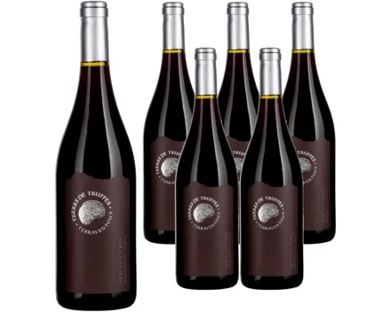Côtes du Ventoux AOC Terres de Truffes 6x 75cl (2023) – Rotwein, Frankreich (0.75l)