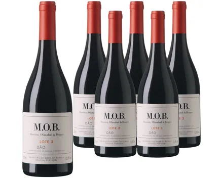 Dao DOC Moreira Olazabal e Borges 6x 75cl (2015) – Rotwein, Portugal (0.75l)
