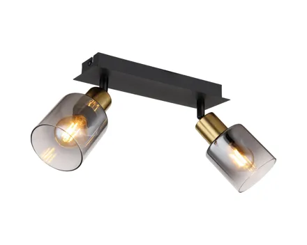 Deckenleuchte Hollsy 2-flammig