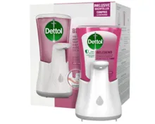 DETTOL Starterset Gartenfrüchte