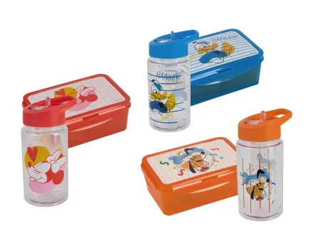 Disney Trinkflasche/Brotdose