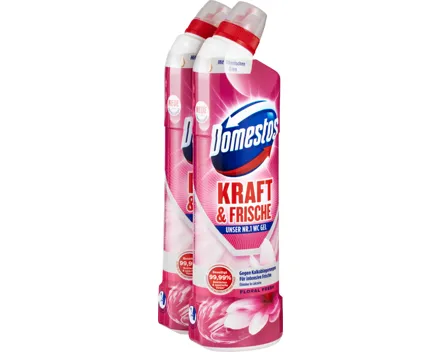 Domestos Kraft & Frische WC-Gel Floral Fresh