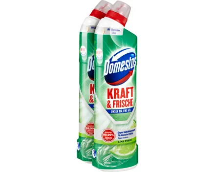 Domestos Kraft & Frische WC-Gel Limette Fresh